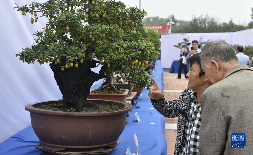 充值赢钱提现的游戏